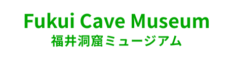 Fukui Cave Museum