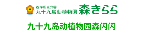九十九岛动植物园森闪闪