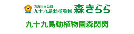 九十九岛动植物园森闪闪
