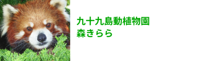 森きらら
