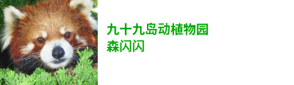 森きらら