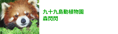 森きらら